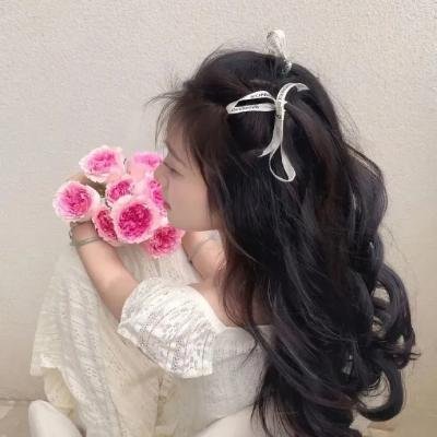 百合熊风暴
