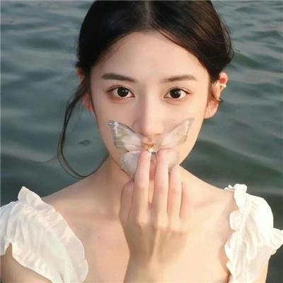 我的新拍档